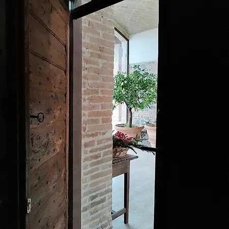 Il Gelso Bianco * Sorbolo